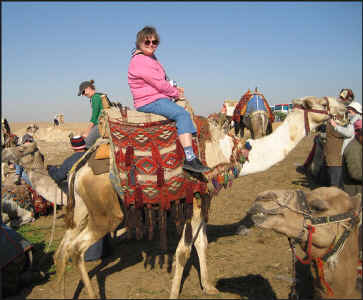 Kate-camel-large-web.jpg (112371 bytes)