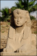 Sphinx from the Avenue of Sphinxes, Luxor Temple